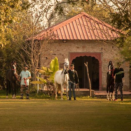 Maa Ashapura Resort Saváj Madhopur Kültér fotó